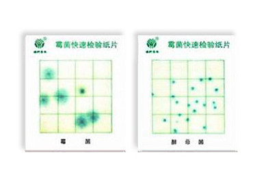 霉菌、酵母菌測試片